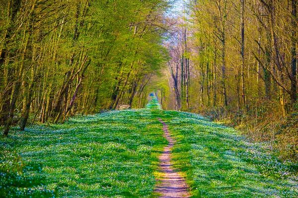 Recherche de Terrain pour Construire